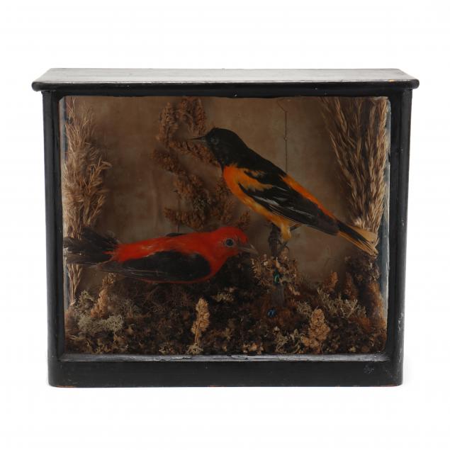 antique-taxidermy-of-songbird-pair-in-shadowbox