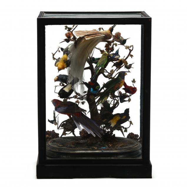 large-antique-exotic-bird-diorama-under-glass