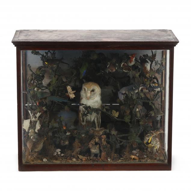 large-antique-north-american-fauna-diorama-under-glass