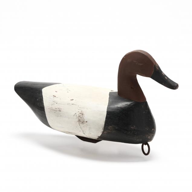 callie-o-neal-canvasback