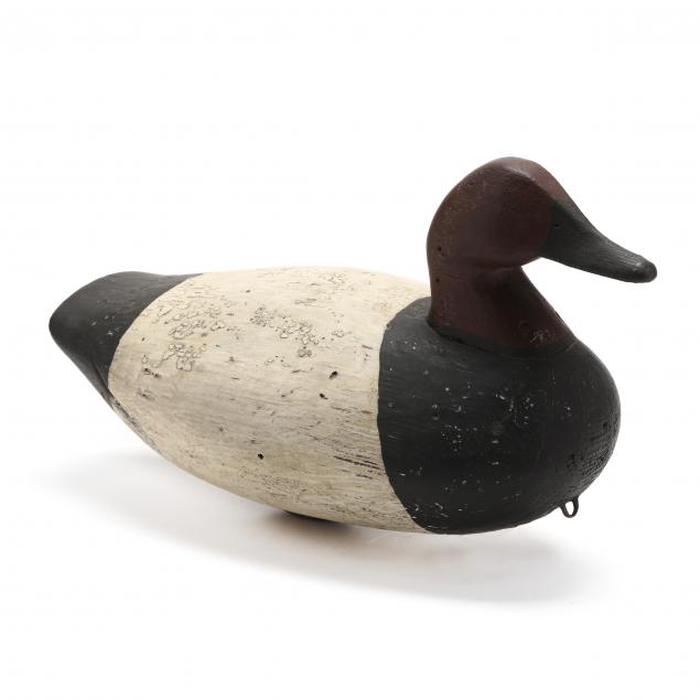 ivey-stevens-canvasback