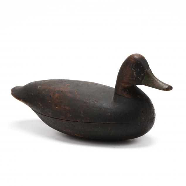 charles-birch-black-duck