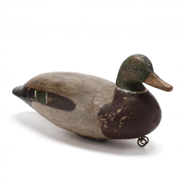 charles-birch-mallard-drake