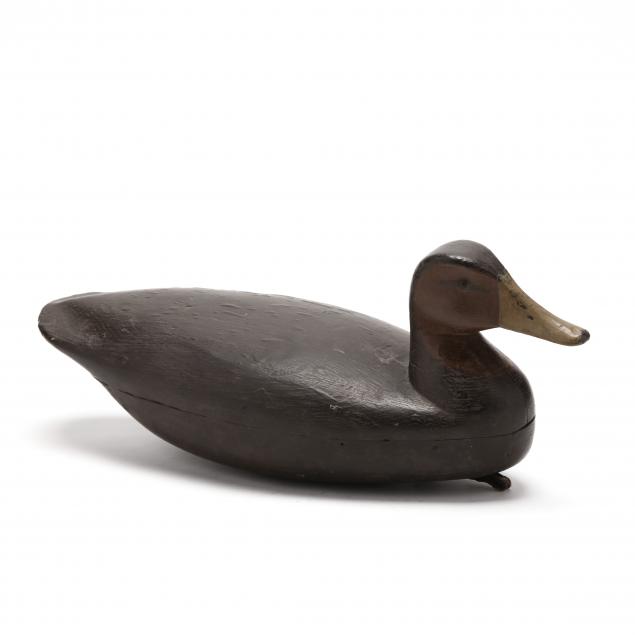jesse-birdsall-black-duck