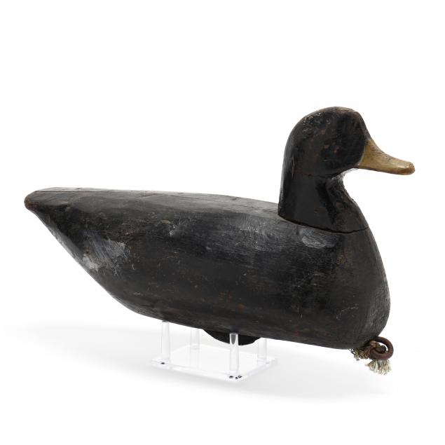 joe-perry-black-duck