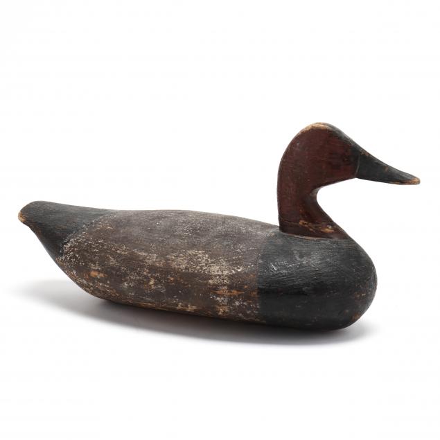 purnell-curles-canvasback