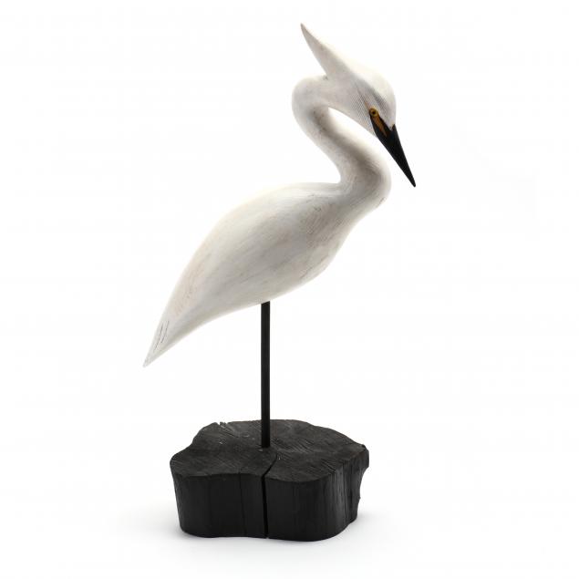 roe-duc-man-terry-snowy-egret