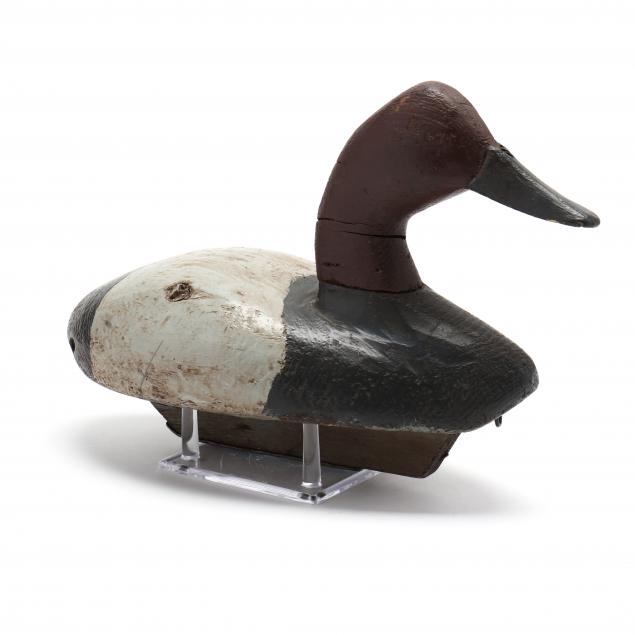 duncan-ducharme-canvasback