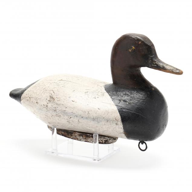 early-cecil-county-canvasback-branded-ew-jackson