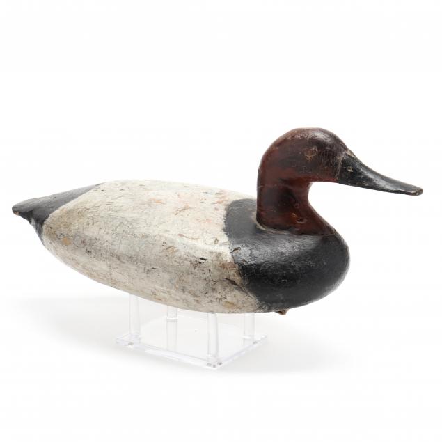 joseph-couden-canvasback