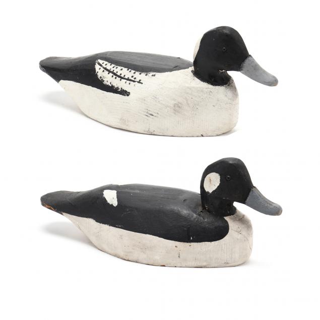 miles-hancock-bufflehead-pair