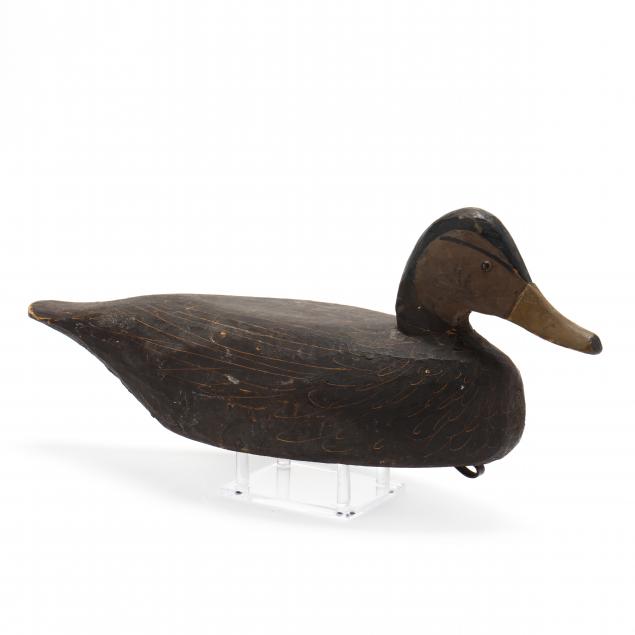 miles-hancock-black-duck