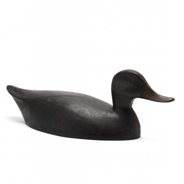 outstanding-toronto-school-hollow-black-duck