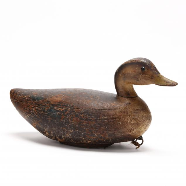 daniel-lake-leeds-black-duck