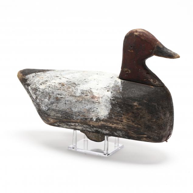 john-austin-canvasback