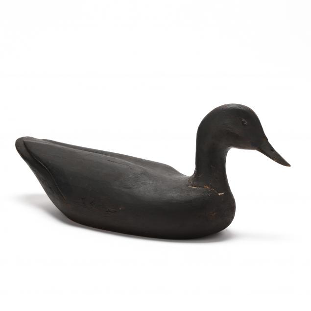 gus-wilson-black-duck