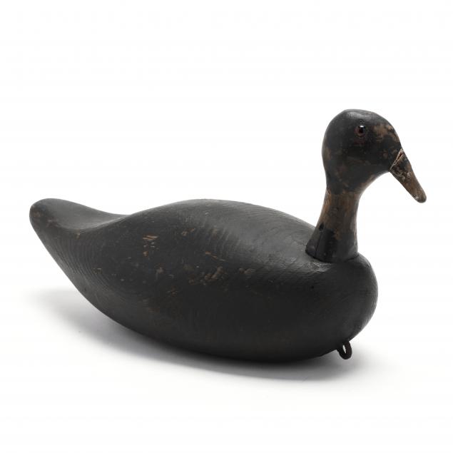 david-o-neal-nc-coot-decoy