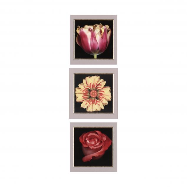 harold-feinstein-american-1931-2015-three-large-floral-photographs