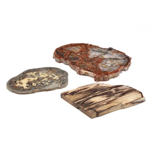 three-large-mineral-cross-sections-polished-on-one-side