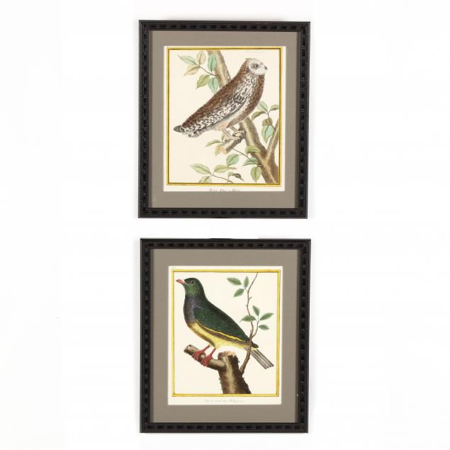francois-nicolas-martinet-french-circa-1725-1804-two-engravings-from-i-histoire-naturelle-des-oiseaux-i