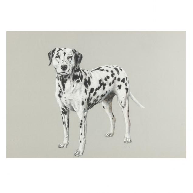 evelyn-leavens-american-1924-2013-portrait-of-a-dalmation