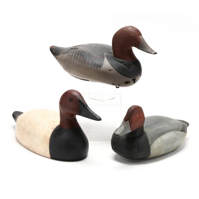 two-red-head-and-one-canvasback-decoy