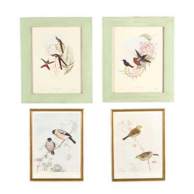 two-framed-pairs-of-ornithological-prints