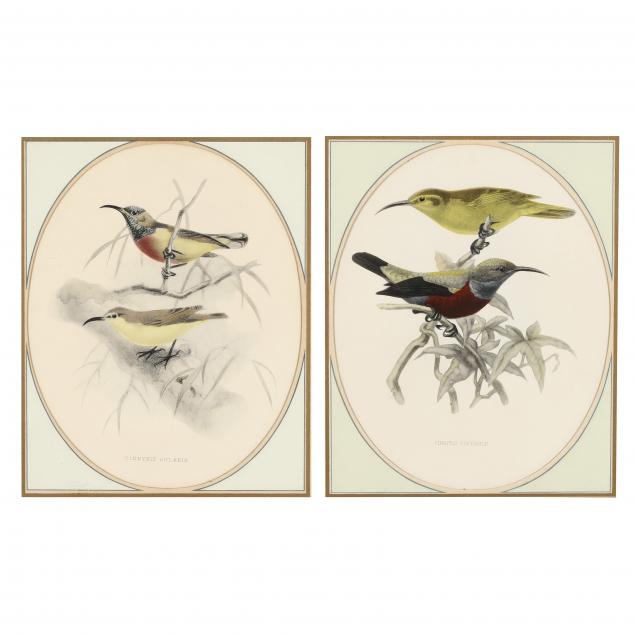 pair-of-framed-bird-prints