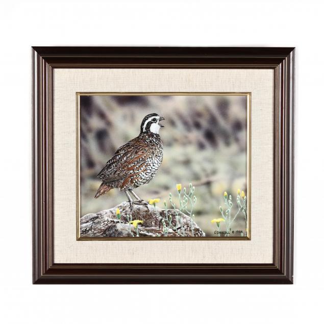 danny-o-driscoll-sc-born-1952-portrait-of-a-quail