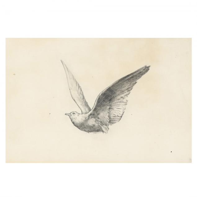 elliott-daingerfield-american-1859-1932-dove-in-flight