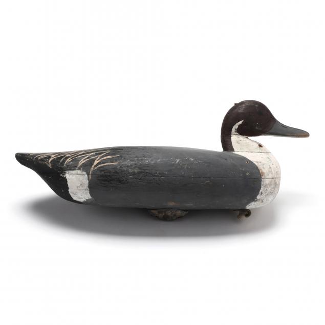 manson-meekins-pintail