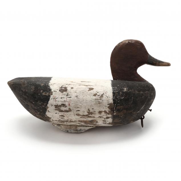 dexter-snow-canvasback