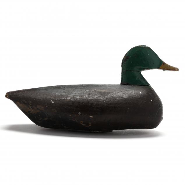 joe-hayman-mallard