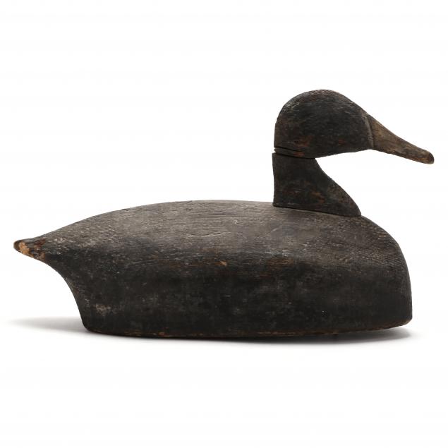 wilton-walker-black-duck