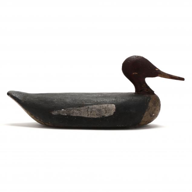 roothead-merganser-hen