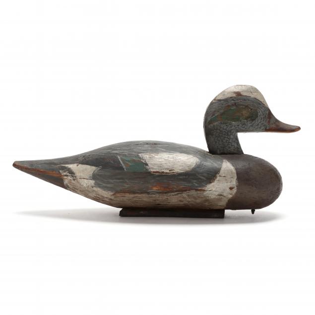 lloyd-tyler-widgeon