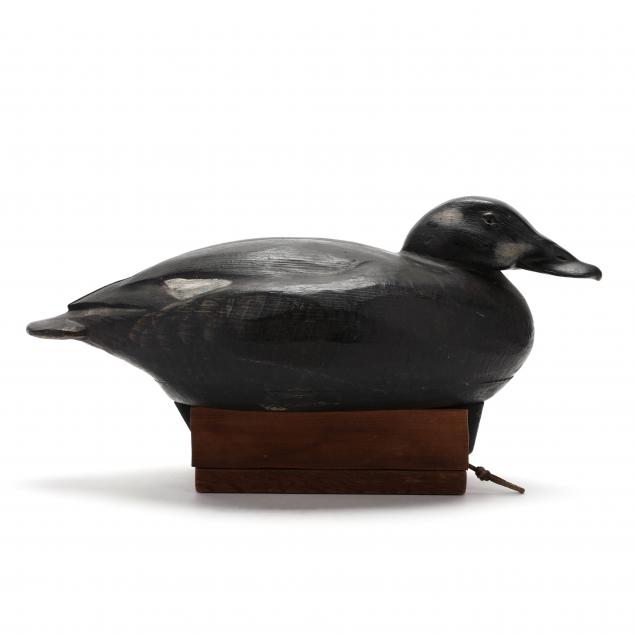 jim-schmiedlin-white-wing-scoter