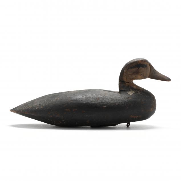 ike-phillips-black-duck