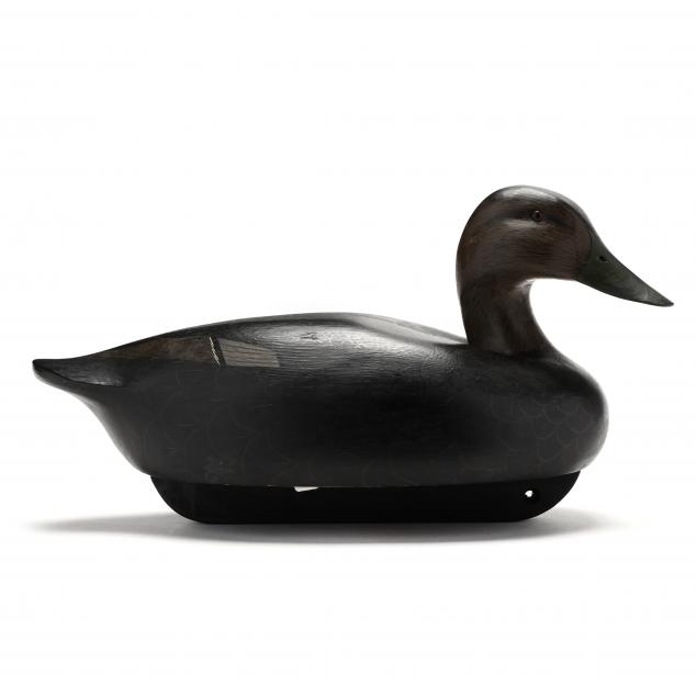 ken-harris-black-duck