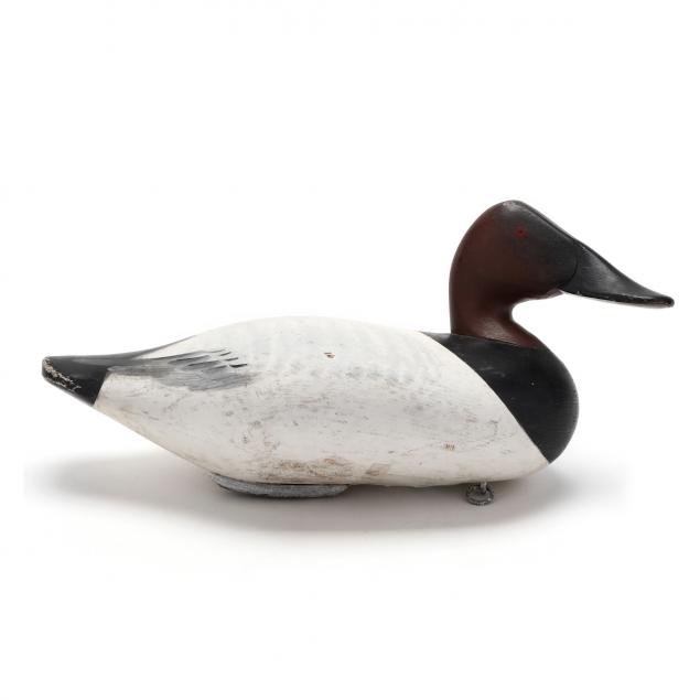 charles-bryan-canvasback-turned-head