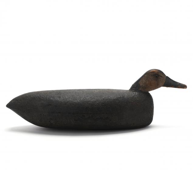 john-bowen-black-duck