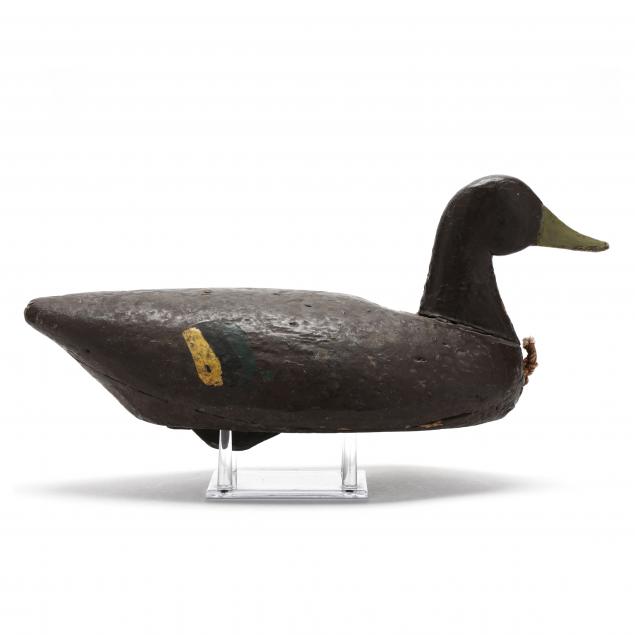 marvin-midgett-black-duck