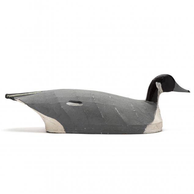 marvin-midgett-pintail