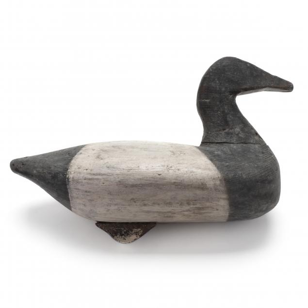 malachi-waterfield-canvasback