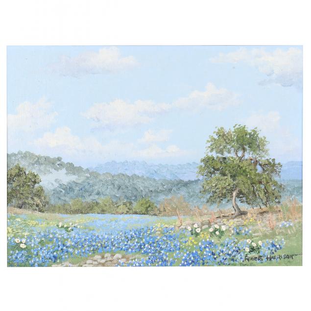 robert-harrison-american-b-1949-texas-bluebonnet-field-with-vista