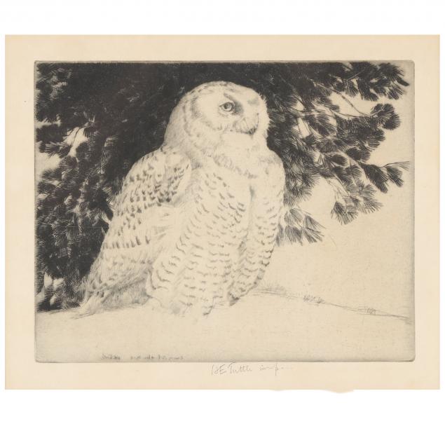henry-emerson-tuttle-american-1890-1946-i-snowy-owl-i