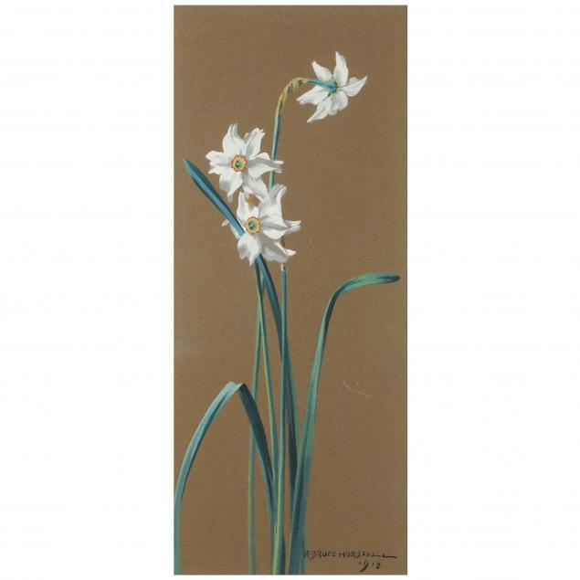 robert-bruce-horsfall-american-1869-1948-study-of-a-daffodil