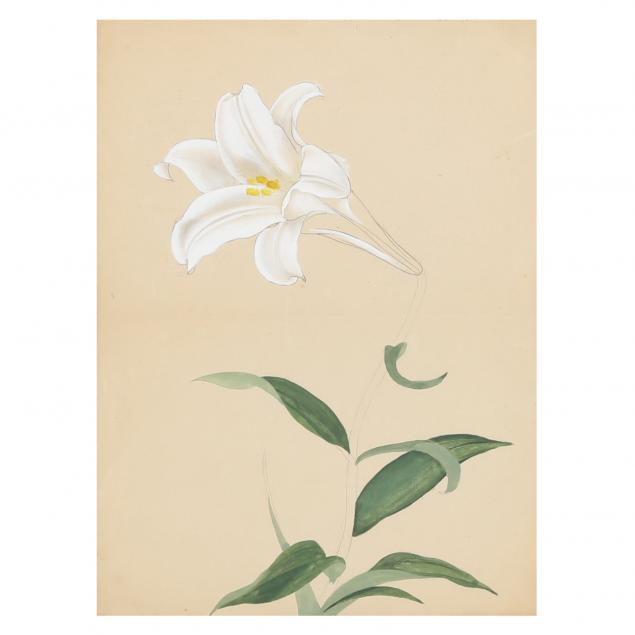 antique-watercolor-sketch-of-a-lily