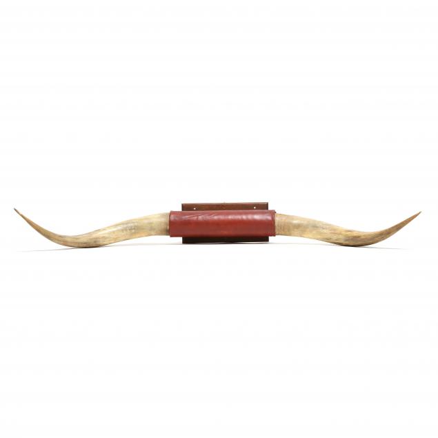 five-foot-pair-of-mounted-steer-horns