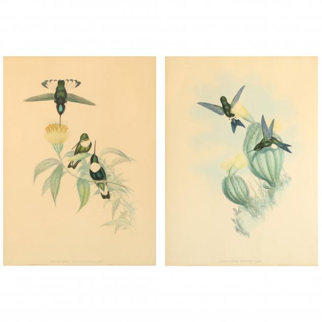 two-gould-richter-hummingbird-lithographs